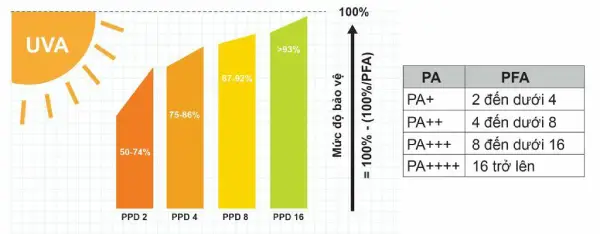 TOP 10 kem chống nắng đi biển tuyệt vời cho mùa hè 2 Kem chống nắng có chỉ số SPF và PA cao