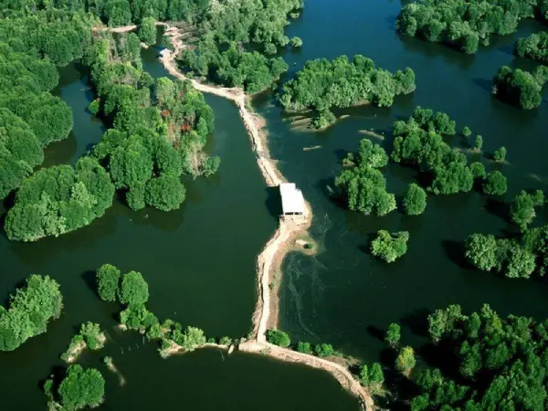 Khu du lịch Rừng Vàm Sát