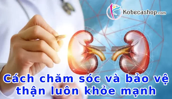 Cách chăm sóc và bảo vệ thận luôn khỏe mạnh