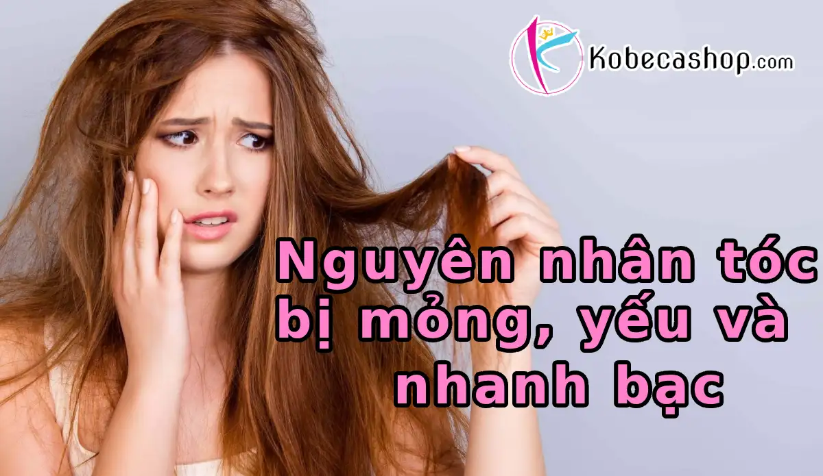 Nguyên nhân tóc bị mỏng, yếu và nhanh bạc 1 Nguyên nhân tóc bị mỏng, yếu và nhanh bạc