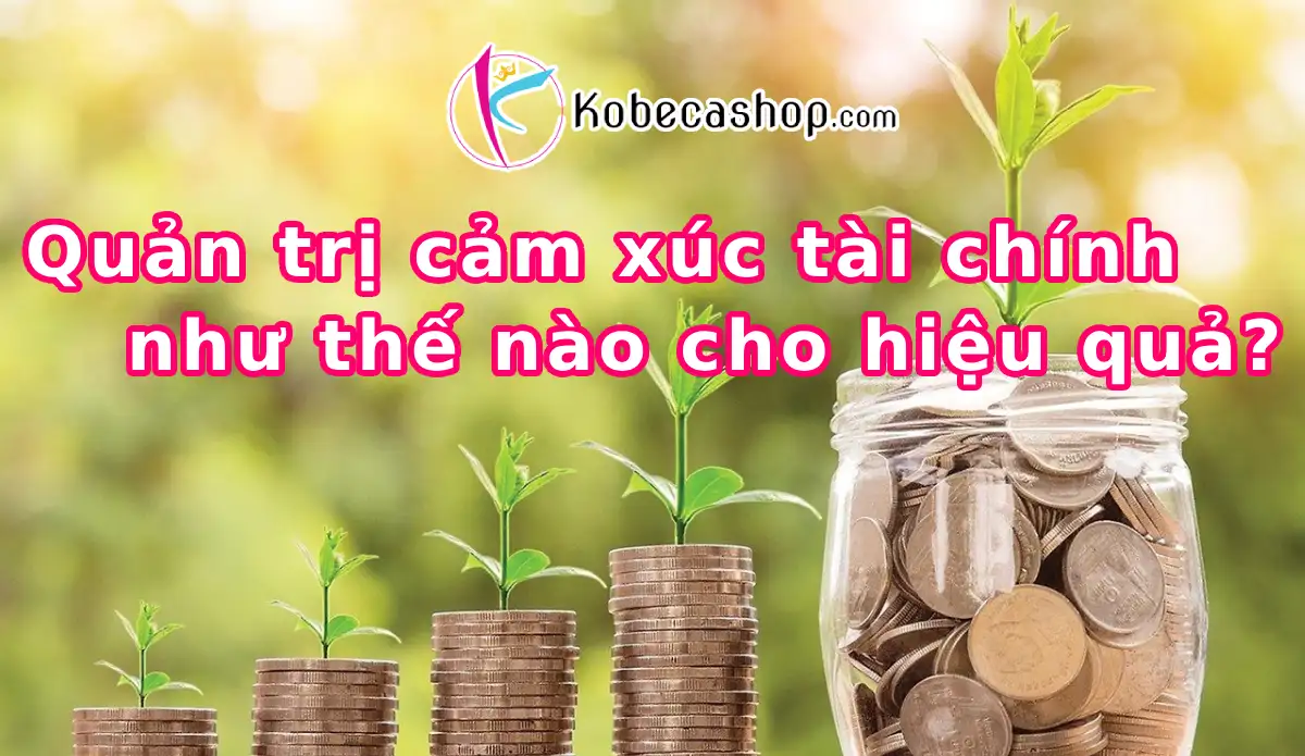 Quản trị cảm xúc tài chính như thế nào cho hiệu quả? 1 Quản trị cảm xúc tài chính như thế nào cho hiệu quả?