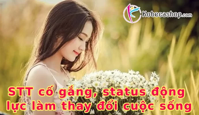 STT cố gắng, status động lực làm thay đổi cuộc sống