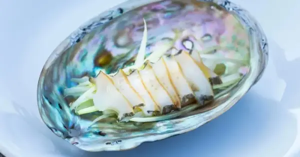 Bào ngư đặc sản Hokkaido - Nhật Bản