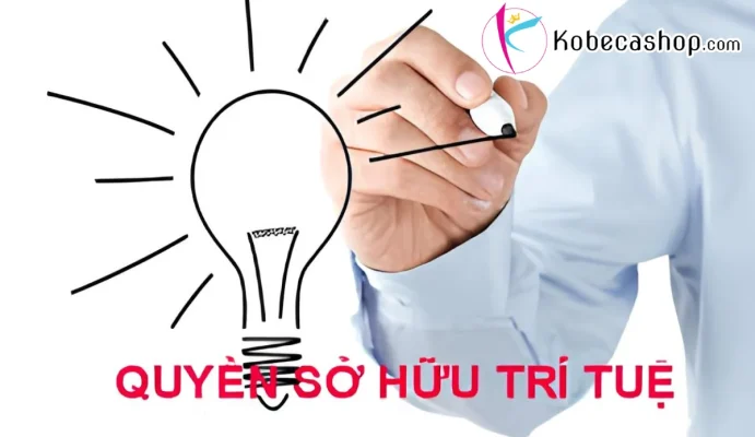 Cách bảo vệ quyền sở hữu trí tuệ theo luật pháp Việt Nam