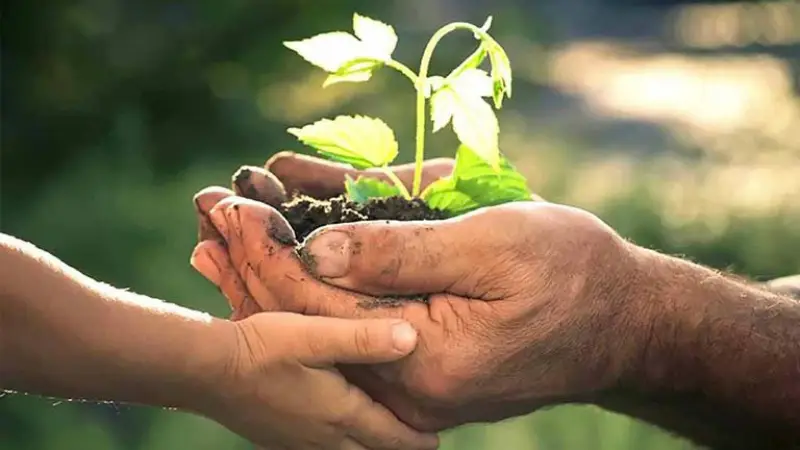 Cách chăm sóc sức khỏe tinh thần cho cuộc sống hạnh phúc 2 Sức khỏe tinh thần là trạng thái mà con người ý thức được khả năng của bản thân