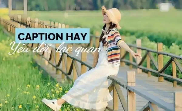 Những câu nói dễ thương về cuộc sống