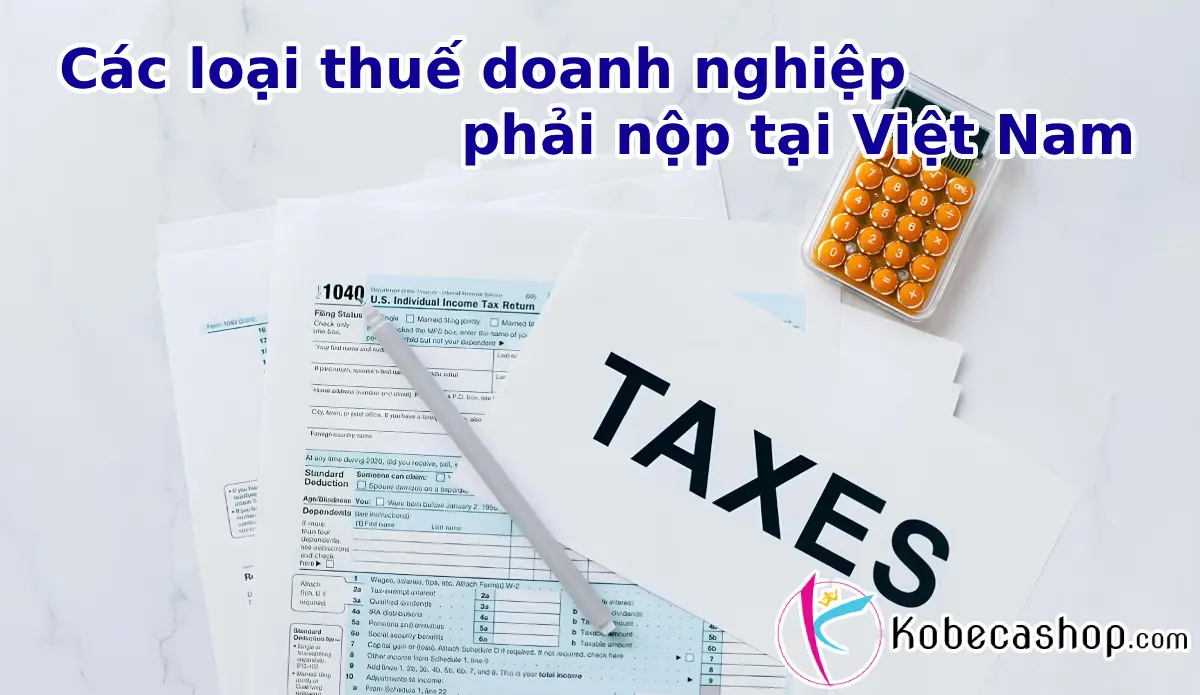 Các loại thuế doanh nghiệp phải nộp tại Việt Nam