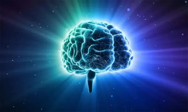 Tại sao bạn tự động quên học ngôn ngữ mà không nhận ra? 2 Não bộ ưu tiên “việc có phần thưởng ngay”