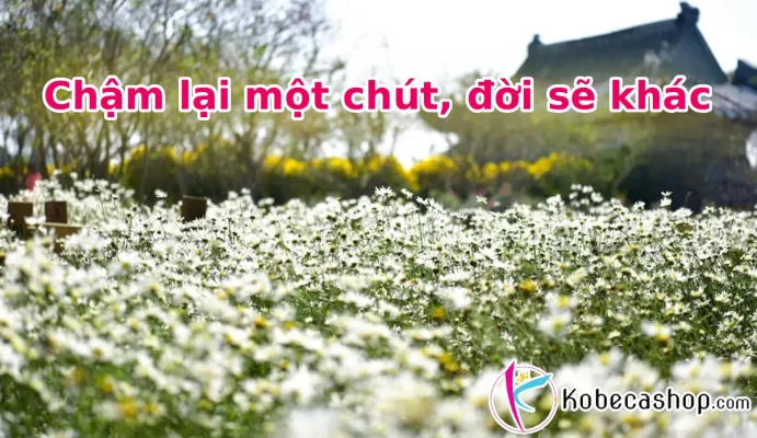 Chậm lại một chút, đời sẽ khác